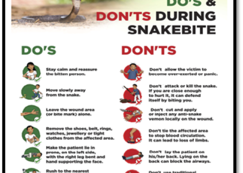 snake awarness